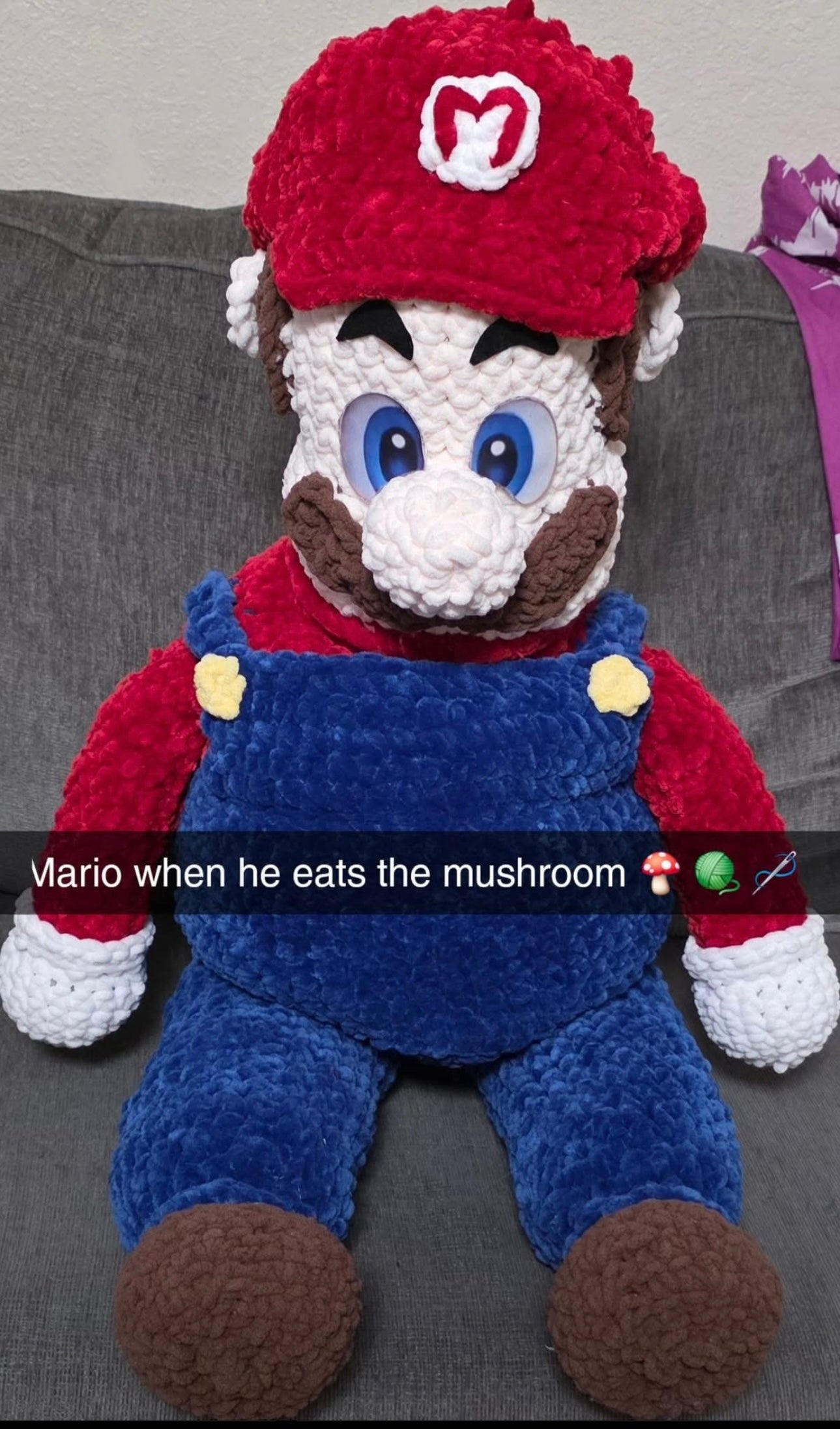 Mario plushie